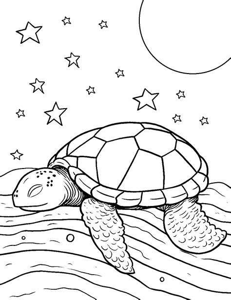 turtle images drawing|50 Turtle Coloring Pages: Free Printable Sheets .